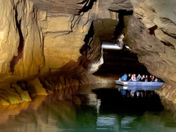 Sungai Bawah Tanah Terpanjang di AS Dihuni Banyak Hewan Albino