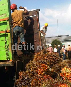 RI Eksportir Sawit Terbesar, Tapi Tak Kuasa Tentukan Harga
