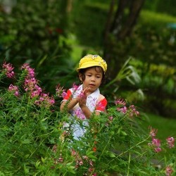 Ruang Hijau Sekitar Kompleks