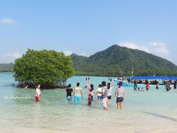 Pulau Pasir Timbul, Si Kecil Nan Unik di Lampung