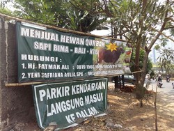 Harga Sapi Feedloter ke RPH Rp 38.500/Kg, untuk Kurban Rp 60.000/Kg