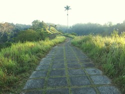 Campuhan, Tempat Jogging Asyik di Bali