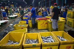 Melihat Sudut-sudut Pasar Ikan Muara Angke