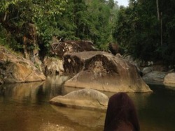 Telaga Buto di Jambi, Tempat Wisata Asyik Bareng Keluarga