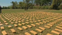 Penyeludupan Satu Ton Ganja Berhasil Digagalkan