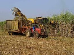 21 Proyek Pabrik Gula Terkendala Lahan