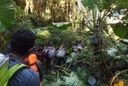 Hari ke-9: Menghadapi Porter yang Emosi di Tengah Hutan Papua
