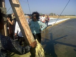 Jokowi Dukung Susi Ikut Campur Soal Urusan Impor Garam