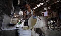 RI Impor Susu 221,2 Juta Kg/Tahun, Kok Bisa?