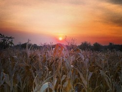 3 Spot Berburu Sunset Bareng Pacar di Surabaya