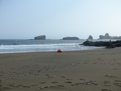 Legenda Ular Raksasa di Pantai Watu Ulo, Jember