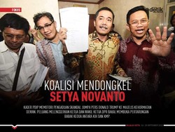 Koalisi Mendongkel Setya Novanto