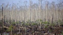 Dunia Akan Mencatat Dua Tahun Terpanas