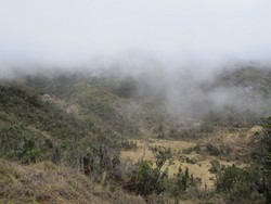 Padang Savana Tertinggi di Indonesia, Ada di Papua