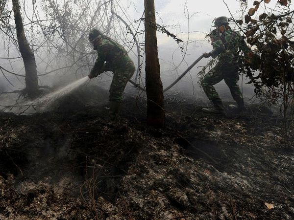 Pemadaman Kebakaran Hutan Terus Dilakukan