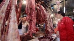 Bantah Mainkan Harga, Feedloter: Daging Mahal Karena Dolar