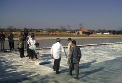 RI Masih Akan Impor Garam Tahun Depan