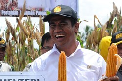 Produksi Meningkat, Impor Pangan Menurun