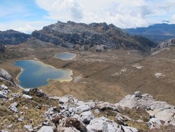 Ini Dia Selandia Baru Ala Papua