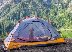 Akun Instagram Ini Bikin Kamu Ingin Traveling dengan Anjing