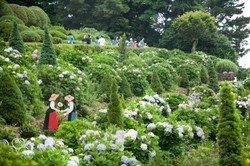 Lupakan Jeju, Ini Pulau Mungil dengan Taman Super Keren di Korsel