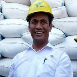 Peternak akan Musnahkan Bibit Ayam karena Rugi, Ini Kata Mentan