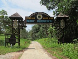 Bukit Bangkirai, Cagar Alam Hijau dari Balikpapan