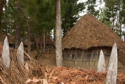 Liburan Anti Mainstream, Menginap di Rumah Adat Papua