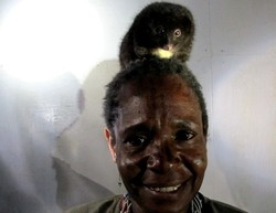 Hewan Kuskus di Kepala Mama-mama Papua