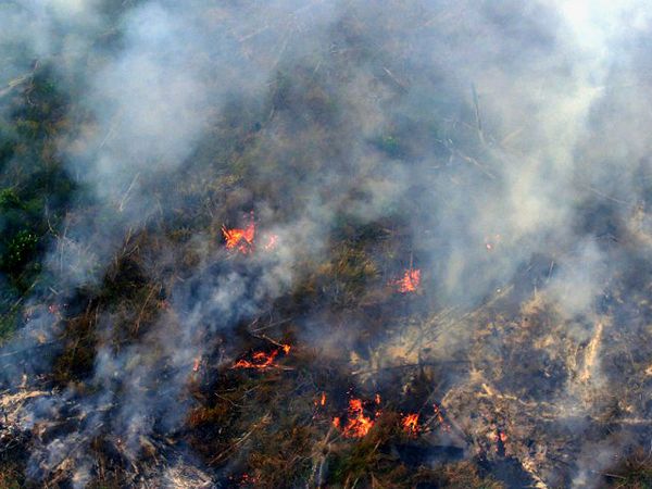 Api Masih Berkobar di Hutan Riau