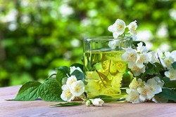 Teh Melati dan Teh Mint Berkhasiat Tingkatkan Libido serta Redakan Stress