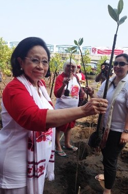 Hari Jadi ke-45, Martha Tilaar Tanam 10 Ribu Mangrove di Gombong