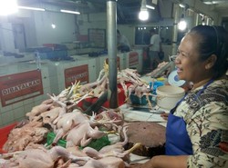 Harga Daging Ayam di DKI Dijual Rp 28.000/Kg