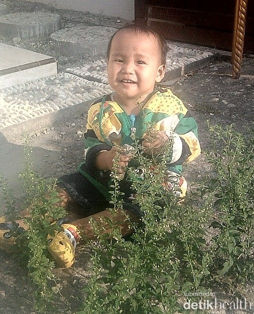 Muhammad Hafizh Abiyyu Wijayanto