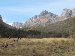 Inilah Selandia Baru Ala Papua
