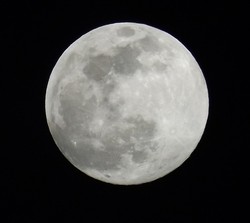 Menyentuh Bulan di Papua