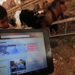 Mau Kurban di Gaza? Via Online Saja!