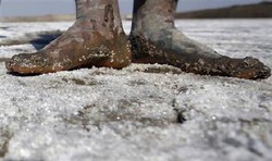 Bos BUMN Garam: Ironis, Pantai ke-2 Terpanjang Dunia Tapi Impor Garam