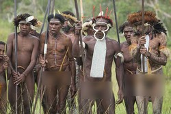 Memaknai Tradisi Tari Perang Suku Dani di Papua