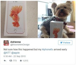 Ini Pemilik iPhone 6S Pertama di Dunia
