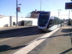 Jonan: Surabaya Akan Punya Trem Pertama di RI