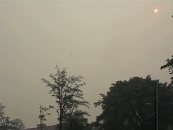 Presiden Jokowi Mengucapkan Selamat Hari Raya Idul Adha di Martapura Kalsel