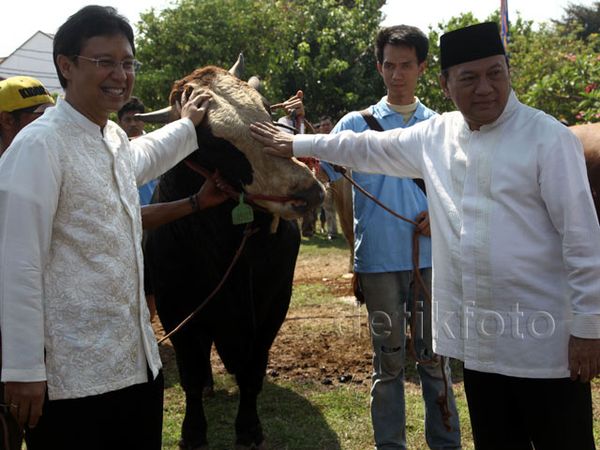 Hari Raya Idul Adha, Mandiri Bagikan Hewan Kurban