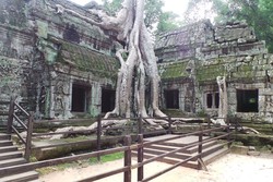 Ta Prohm, Kuil Unik Tempat Syuting Tomb Raider di Kamboja