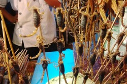 Wisata Kuliner Ekstrem di Beijing, Makan Sate Kalajengking!