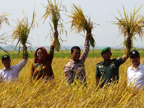 ​Mentan Panen Padi di Karawang