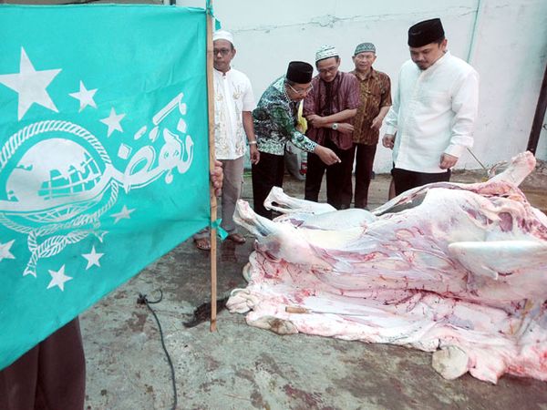 PWNU Potong Hewan Kurban