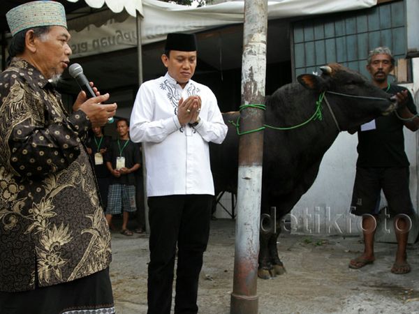 Pemotongan Hewan Kurban di Kantor DPP PKB