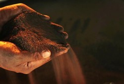 Ini 3 Proyek Triliunan Rupiah yang Lagi Digarap Antam