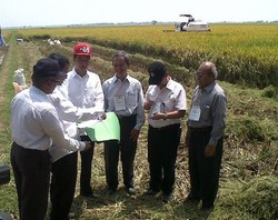 Jokowi: Petani Pasti Tolak Impor Beras